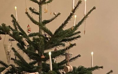 Julefrokosten – en lukket klub?
