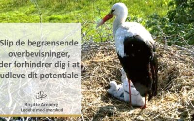 Storken kommer med storkeunger – ikke med menneskebørn