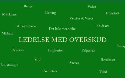 “Ledelse med overskud” – hvad er det for dig?