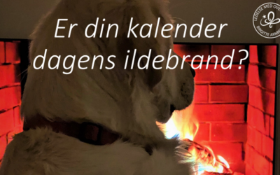 Er din kalender dagens ildebrand?🔥