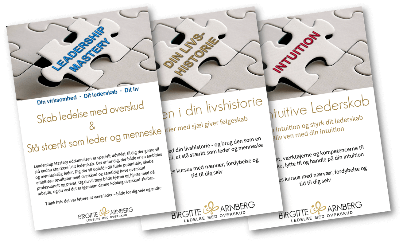 Leadership Mastery Moduler