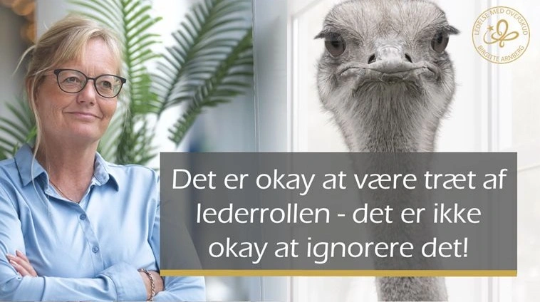 Du er en stjerne