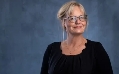 Den pæne stilhed koster – også i bestyrelsen