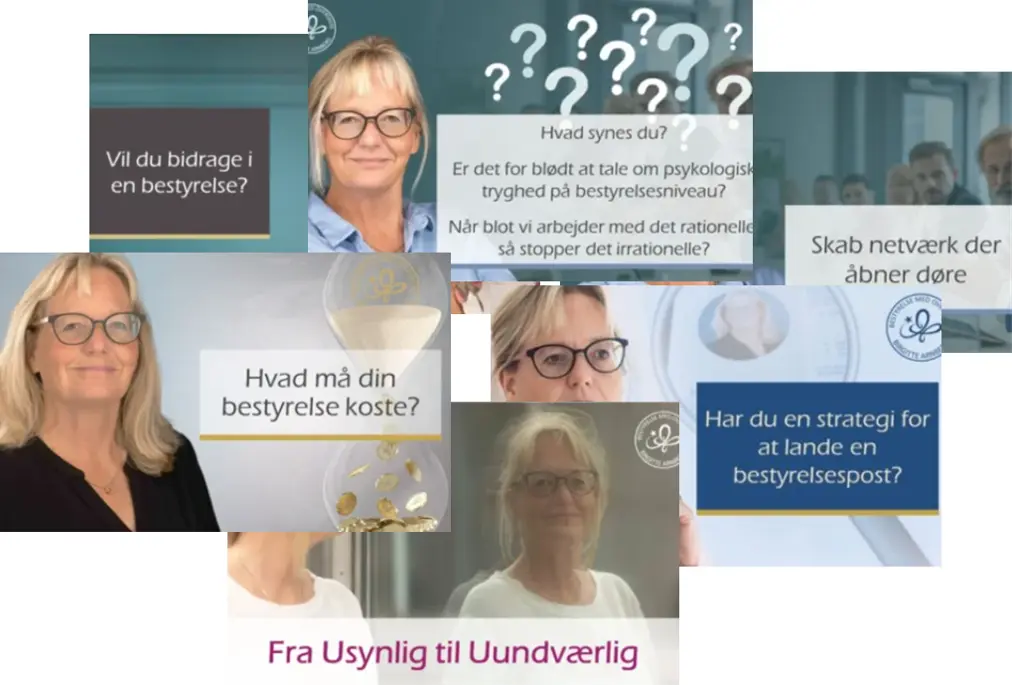 Birgitte Arnberg - Ledelse med overskud